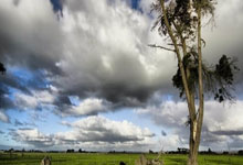 2024巴西甲级联赛有哪些不容错过的看点？